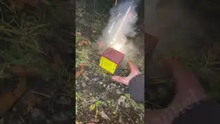 Crazy firework #shorts