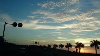 Sunset and habu (Protobothrops flavoviridis)