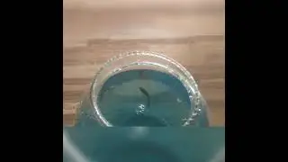 FISH INTRODUCTION VLOG