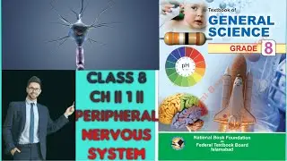Human organs system || midbrain and hind brain || parts of hindbrain || lecture 03|| chapter 01.