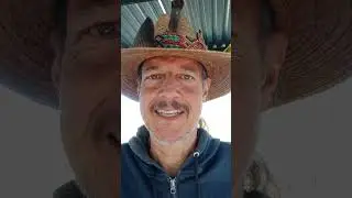 Si t&uacute; perro agrede a personas y/o perros, este video te va a interesar