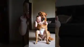 The owner goes out to play cards and lets the dog take care of the children  Everything is spiritu
