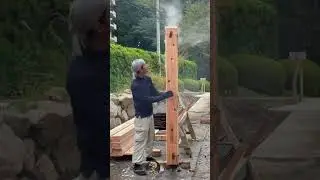 Warum die Japaner verkohltes Holz f&uuml;r den Hausbau verwenden