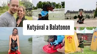 Kutyával a Balatonon 🐶 Megismertetek minket ?😱 Merlin megszerette a vizet ? 😅☀️
