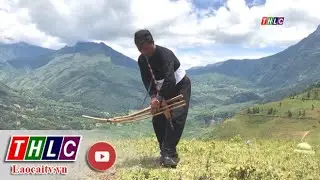 Nghệ thuật múa khèn của người Mông | THLC