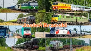 Pociągi w Jasieniu Brzeskim w drugiej połowie 2025 roku