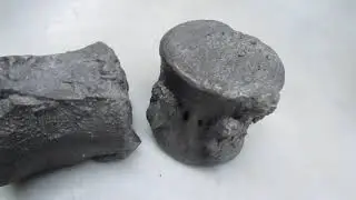 Позвонки эласмозавра.