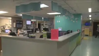 Blank Children's Hospital Emergency Room Admitting Record Number Of Sick Kids