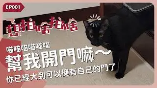 一直喵喵喵喵喵！不要再叫我開門啦！《想拍啥拍啥 EP001》