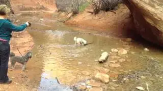 Hiking In Red Cliffs