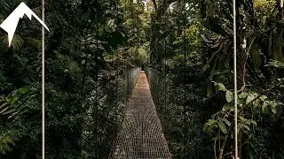The VAST JUNGLE of Arenal Costa Rica (Hanging Bridges)