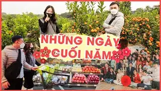 VLOG #tet2022 - Lần đầu tự đi mua quất, tất bật chạy video cuối năm c&ugrave;ng Schannel | Hạnh Chee