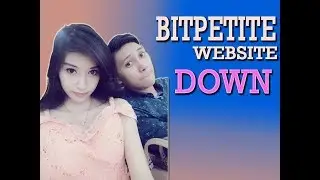 Bitpetite Website Down