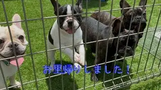 お里帰りしました！