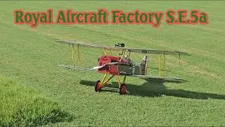 Royal Aircraft Factory SE5a (Dancing Wings Hobby)
