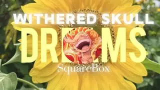 SquareBox - Withered Skull - Dreams (official visulizer)