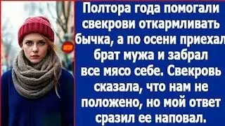 Полтора года помогали свекрови откармливать бычка. А по осени приехал брат мужа и забрал мясо себе.