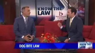 Michigan Dog Bite Laws - FOX 17 Know the Law