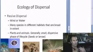 BIOL2462 Overwater Dispersal