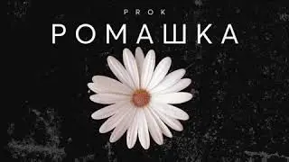 PROK – Ромашка