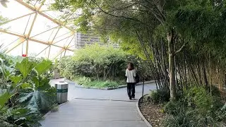 Look around London: Crossrail gardens