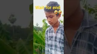 #dilouge