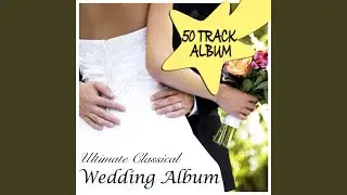Sonata For Violin And Piano No. 5 In F Major Spring Op. 24: Allegro