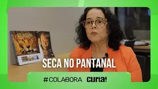 Seca no Pantanal: o que est&aacute; acontecendo? | com ‪@canalcurta ‬