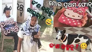ଛୁଟି ଦିନର ବ୍ଲଗ୍ 😁#odiavloggerbishnu #odiavolg#odisha#offday#funny #delyvlog#supportme#bishnuvlogs 