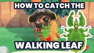 How to Catch WALKING LEAF Bug in Animal Crossing New Horizons?