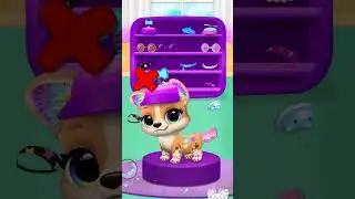 Getting a Pet - Expectations VS Reality 😺🐶 | FLOOF - My Pet House 😆 | TutoTOONS