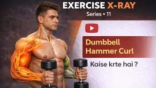 Dumbbell Hammer Curl Kaise Karte Hai? | Exercise X-Ray Series-11 | Biceps & Forearm Growth