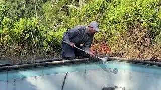 Neglected Swimmg Pools Pose Mosquito Production Risk
