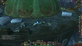 World Of Warcraft getting your first level 25 battle pet.
