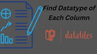 Exploratory Data Analysis | Find datatype of each column in data - DataTiles