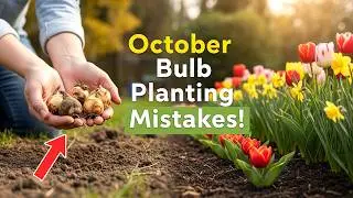 Don&rsquo;t Overlook These October Bulb Planting Mistakes | Fall Gardening Tips for Beginners!