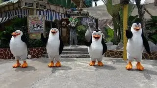 USS  Madagascar Boogie!　マダガスカル・ブギー！