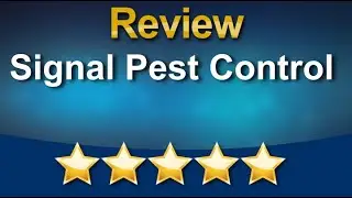 Signal Pest Control Signal Mountain Outstanding 5 Star Review by Susan Collins