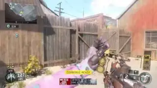WHY I WANT THE MARSHAL 16