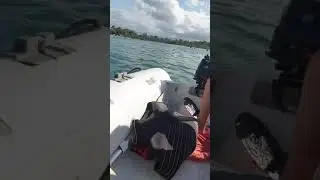 Mercury 4hp 4 stroke outboard test max speed 12 knots!!! Inflatable quicksilver, RIB hull
