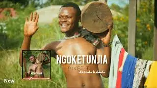 PIVET T _ Ngoketunjia ( Official Audio )