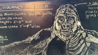 Gorilla Falls Exploration Trail Maharajah Jungle Trek January 2022