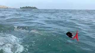 Île des Anglais Saint Louis du sud Haiti 🇭🇹
