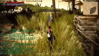 BDO QUEST Guide to Crossing the Desert 1\2