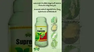 ozo supreme #farming #agriculture #organic #natural #kisan #farmer #organicfarming#farm #paddy