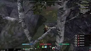 Felshain Hard Mode (vRG HM) - Last Try - DD (Raidlead)