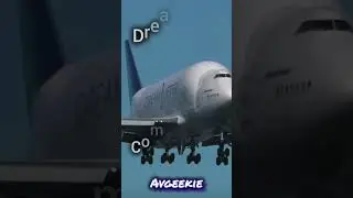 Best cargo aircraft if you... #automobile #airplanegeek #airplane #planegeek #aeroplane #avgeek