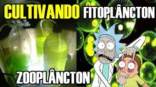 COMO REPRODUZIR O PEIXE PALHAÇO - EP.1