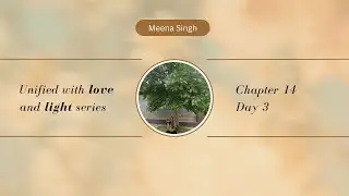 Ch  14 - Day 3: Unified with Love & Light series