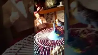 Ура вылетела птица